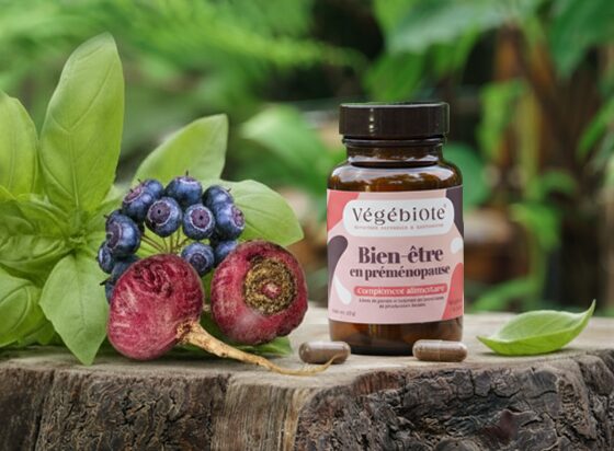 la préménopause traitement​